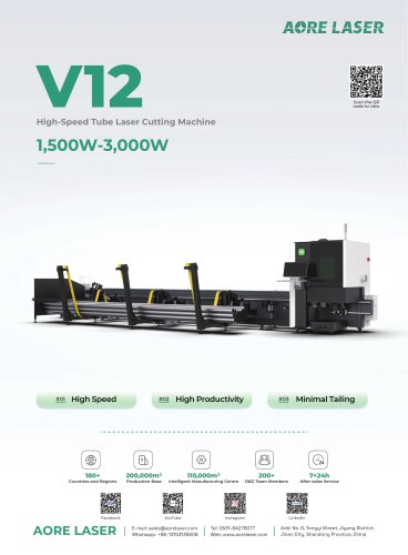 V12