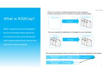 RISECap-2