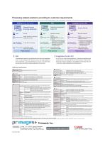 RISECap _ Summary-2