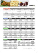 Bralyx Catalogue English-13