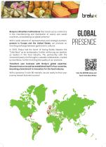 Bralyx Catalogue English-15