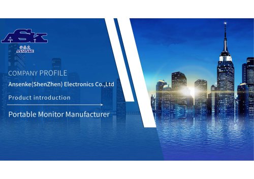 Protable monitor