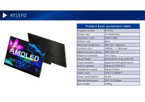 Protable monitor-25