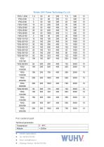 YDQ Series Gas Type AC DC Hipot Tester-Catalog-3