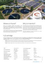 H2 S cartridg-1