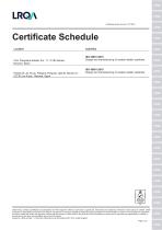 Replasa-ISO-45001-EN-2