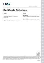 Replasa-ISO-9001-EN-2