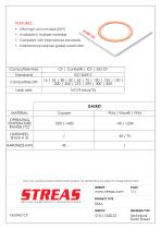 CF gasket-1