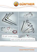 Brief overview services and products-1