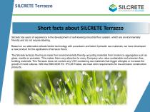 Terrazzo presentation-2
