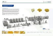 Double-fried snack production line-4