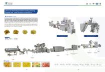 Double-fried snack production line-5