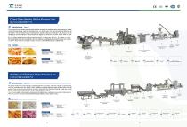 puffed food production line-5