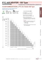 PTC Air Heater Standard SS Type-5