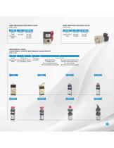 Pneumatic Valves-6