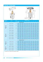 PANAM - High Pressure Valves -14