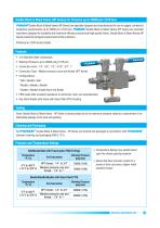 PANAM - High Pressure Valves -21