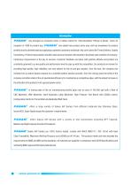 PANAM - High Pressure Valves -2