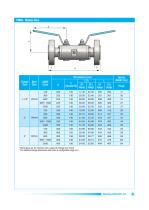Pipe - Double Block and Bleed Valves-13