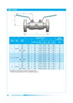 Pipe - Double Block and Bleed Valves-14