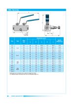 Pipe - Double Block and Bleed Valves-16