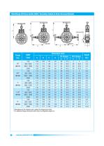 Pipe - Double Block and Bleed Valves-20