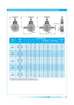 Pipe - Double Block and Bleed Valves-21