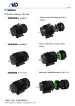 T Series of ECI Motor-11