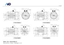 T Series of ECI Motor-17