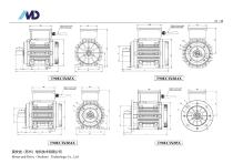 T Series of ECI Motor-18