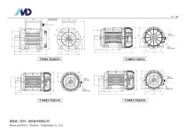 T Series of ECI Motor-19