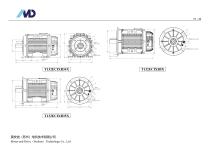 T Series of ECI Motor-21