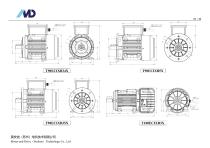 T Series of ECI Motor-24