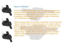 WL-1040-Compact-Solenoid-Pump-Sepcification-scaled-2