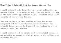 WL0627 Small Solenoid Lock for Access Control Use-2