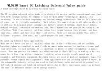 WL0730 Smart DC Latching Solenoid Valve guide-2