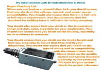 WL1660 Solenoid Door Lock for Access-7