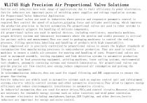 WL1745 High Precision Air Proportional Valve Solutions-2