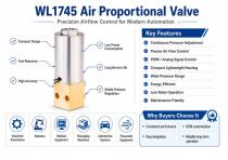 WL1745 High Precision Air Proportional Valve Solutions-3