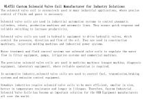 WL4751 Custom Solenoid Valve Coil Manufacturer for Industry Solutions-2