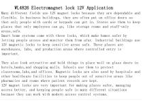 WL4826 Electromagnet lock 12V Application-2