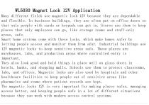 WL5030 Innovative Magnetic Lock 12V Guide-2