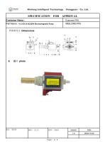 WL55 DCB Solenoid Pump 220V Buying Guide-7