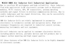 WL610 SMDS Air Inductor Coil Industrial Application-2
