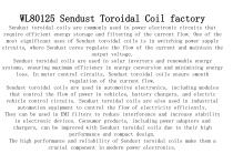WL80125 Sendust Toroidal Coil factory-2