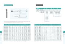 Leetx_AEPS Servo Press System_V26.1.0_EN_DP-10