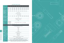 Leetx_AEPS Servo Press System_V26.1.0_EN_DP-12