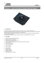 P38 Standard-1