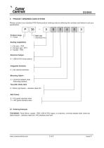 P38 Standard Stainless Steel-3