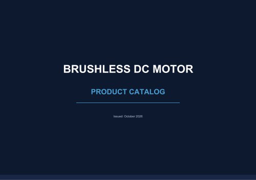BRUSHLESS DC MOTOR